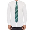 image:imageCinereplicas  Harry Potter  Necktie Deluxe GryffindorSlytherinHufflepuffRavenclaw  Official LicenseSlytherin