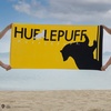 image:imageCinereplicas Harry Potter  Beach Towel SlytherinGryffindorHufflepuffRavenclaw  Official LicenseHufflepuff
