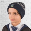 image:imageCinereplicas Harry Potter  Beanie and Gloves Set  Kids  GryffindorSlytherinRavenclawHufflepuff  Offcially licensedRavenclaw