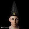 image:imageCinereplicas Harry Potter  Hogwarts Student Hat  Official LicenseGryffindor
