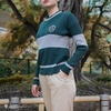 image:imageCinereplicas Harry Potter  Quidditch Sweater GryffindorSlytherinRavenclawHufflepuff  XSSMLXL  Official LicenseSlytherin