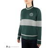 image:imageCinereplicas Harry Potter  Quidditch Sweater GryffindorSlytherinRavenclawHufflepuff  XSSMLXL  Official LicenseSlytherin
