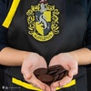 image:imageCinereplicas Harry Potter  Apron Gryffindor SlytherinGryffindorHufflepuffRavenclaw  Official LicenseHufflepuff
